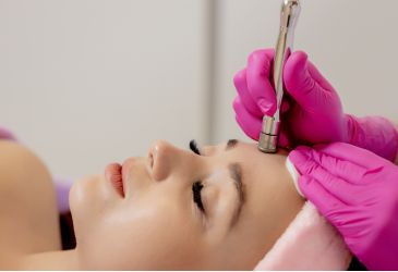 sin título (365 x 250 px) (17)