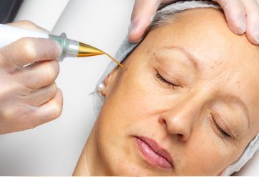 sin título (365 x 250 px) (25) sin título (365 x 250 px) (25)